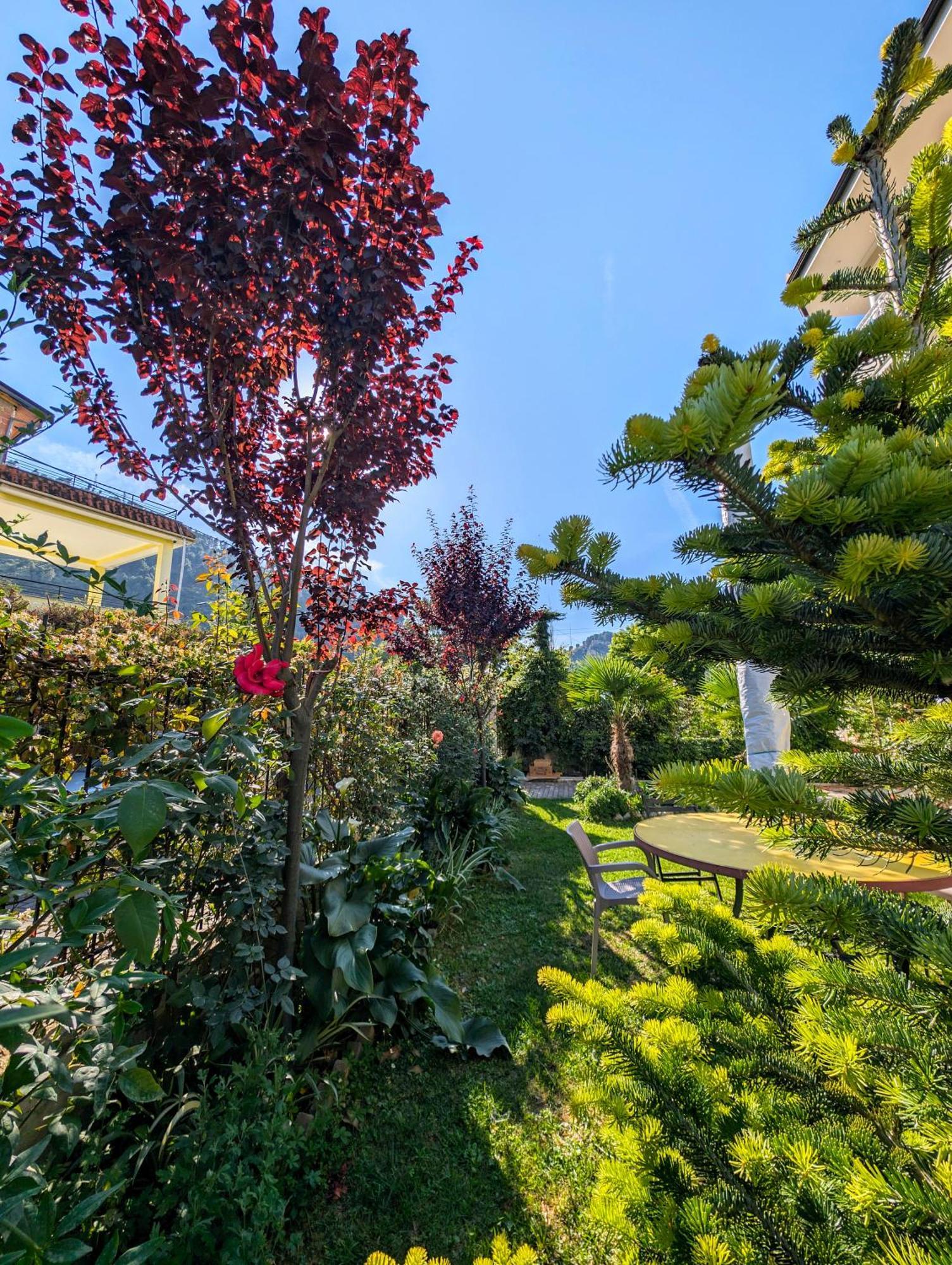 Villa With Garden And Veranda Berat Eksteriør bilde